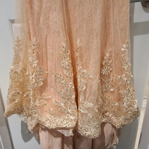 Stunning Peach Lace Gown with Train - Picture 10 of 12